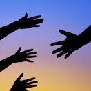 TruHaven Services LLC